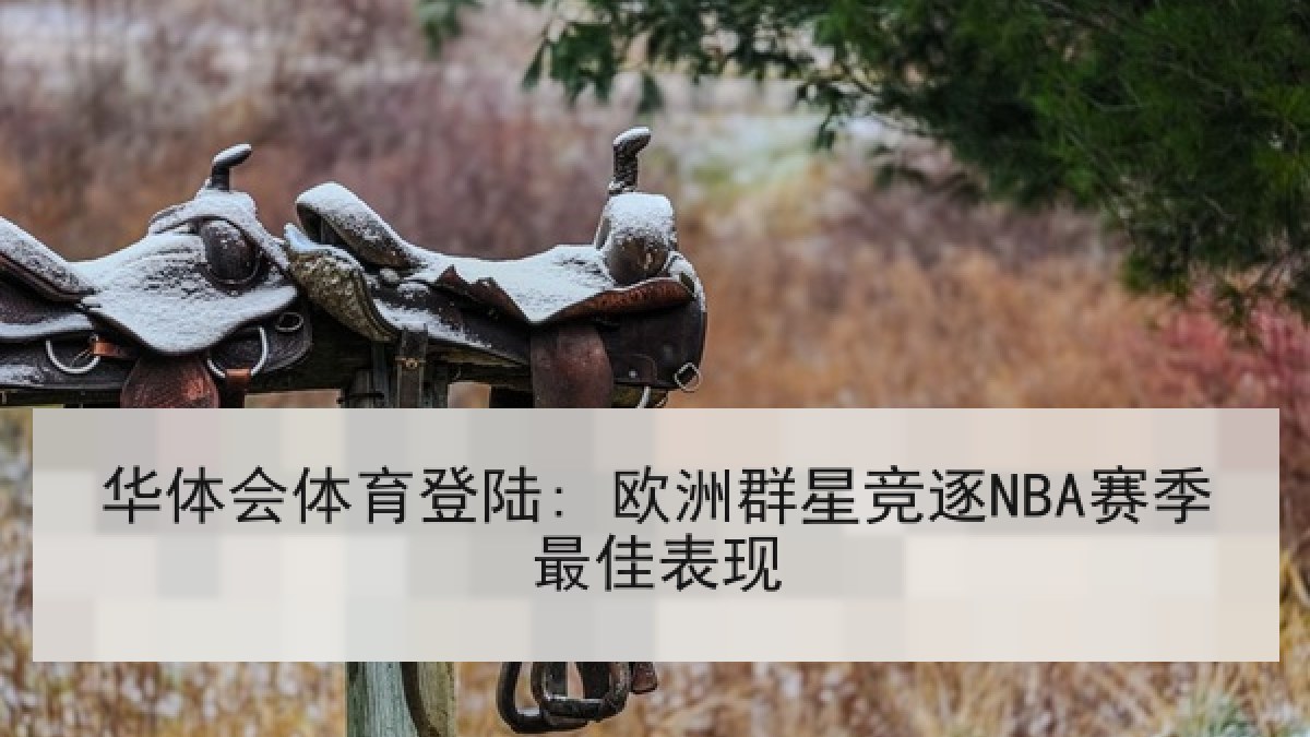 华体会体育登陆: 欧洲群星竞逐NBA赛季最佳表现